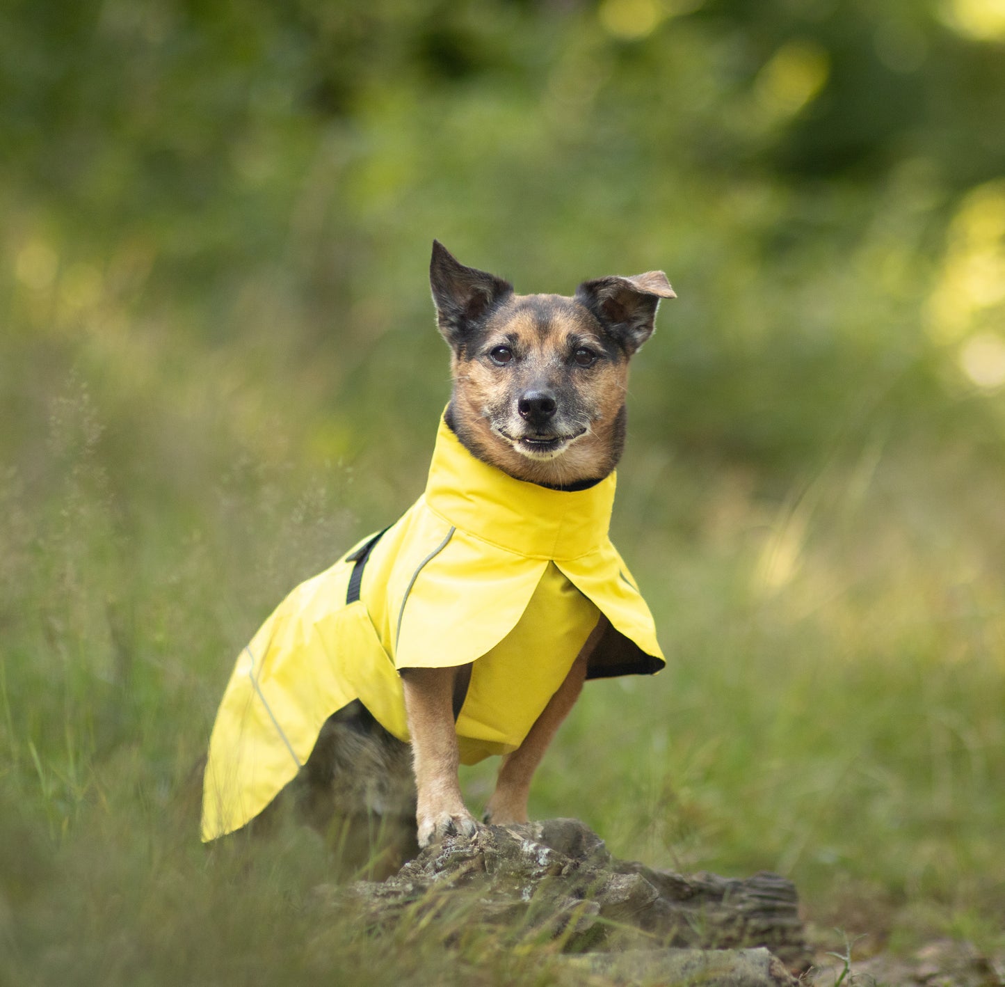 Canary Yellow Raincoat