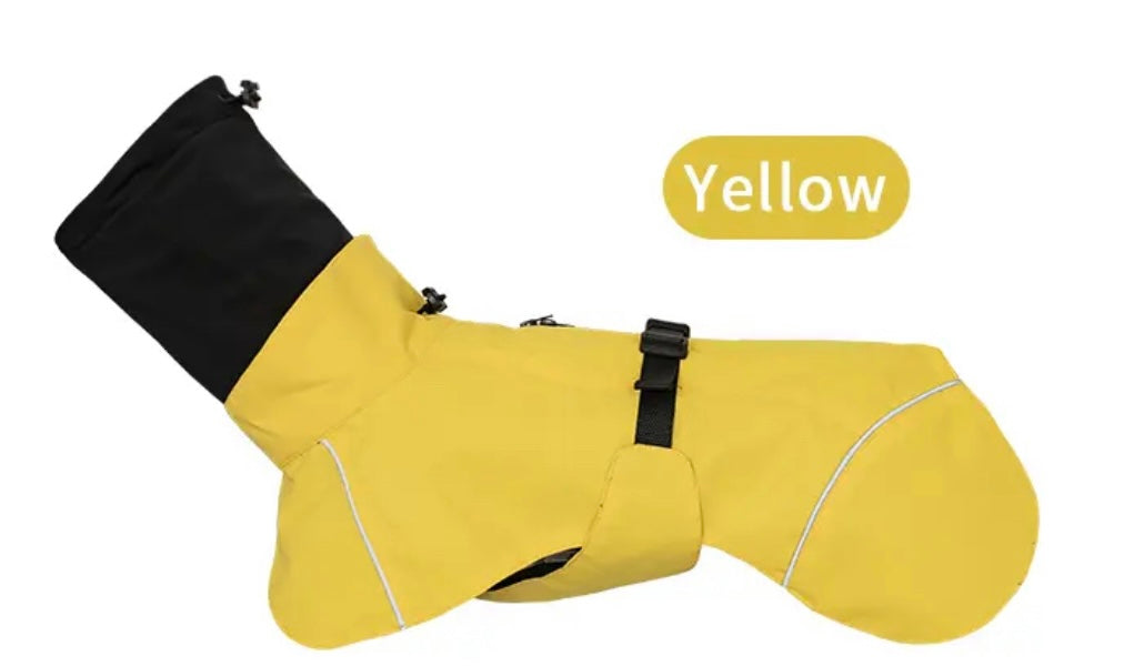 Canary Yellow Raincoat