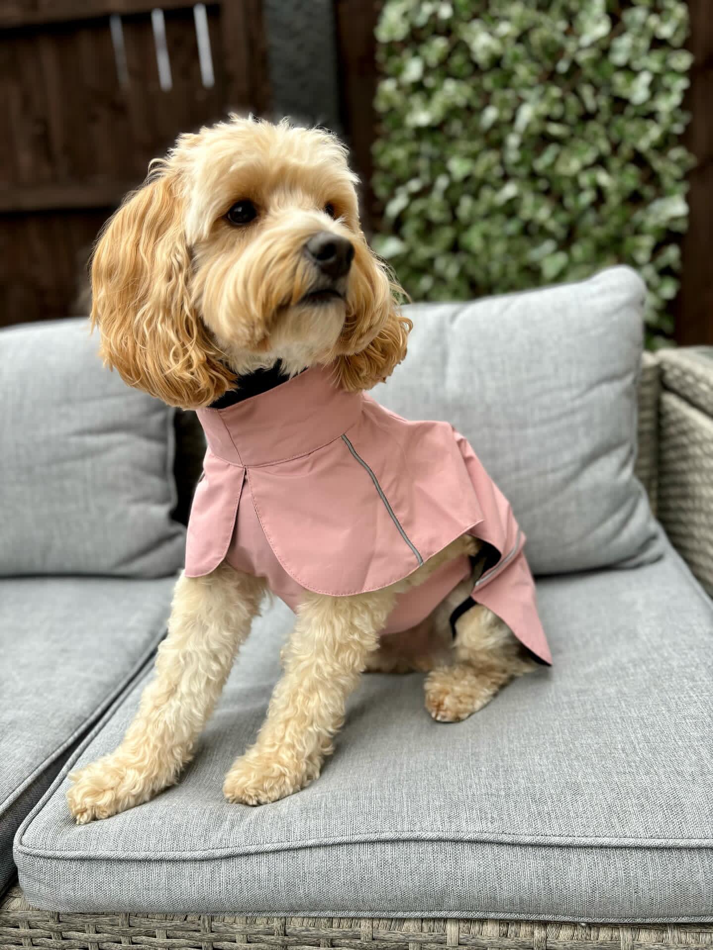 Blush Pink Raincoat