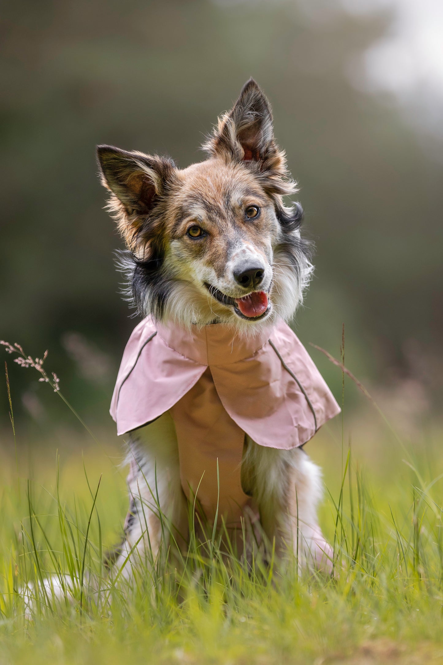 Blush Pink Raincoat