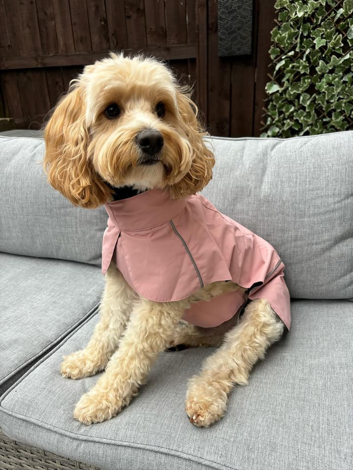 Blush Pink Raincoat