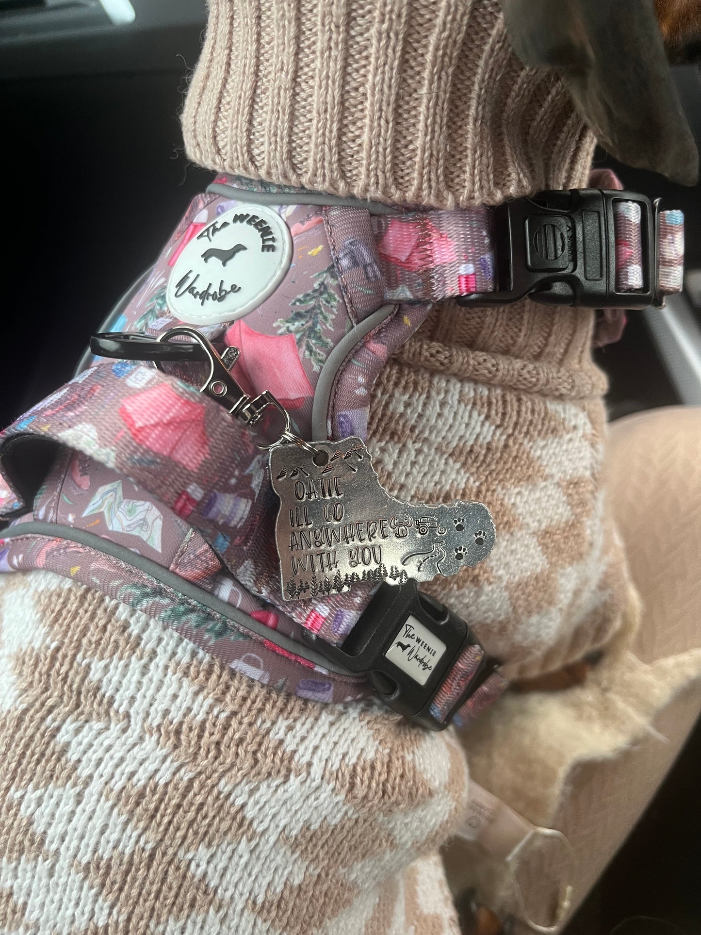 Pawprint & co tag and harness collab offer bundle