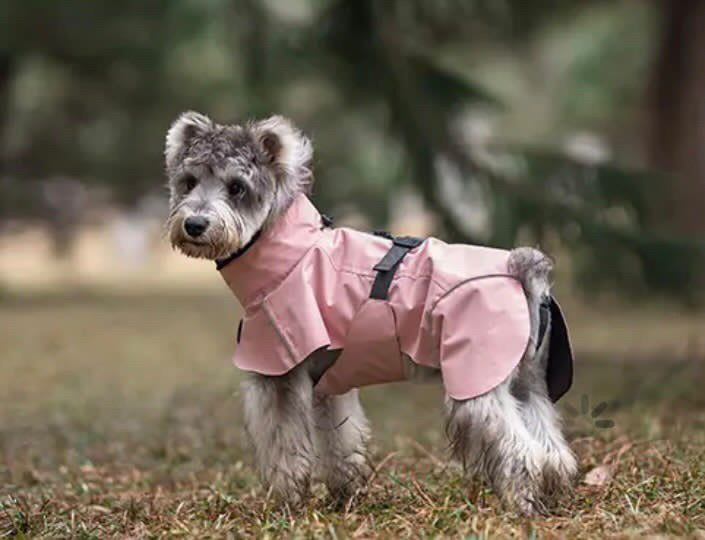 Blush Pink Raincoat