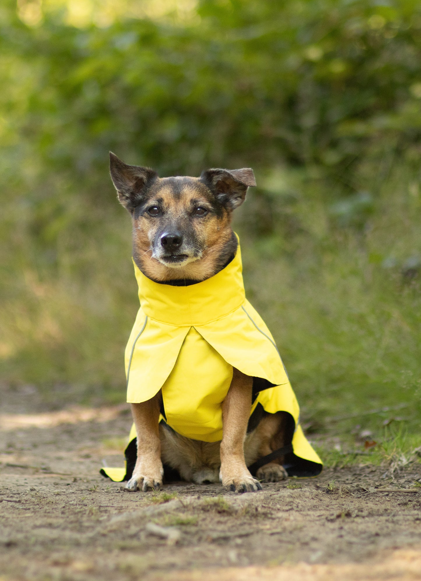 Canary Yellow Raincoat