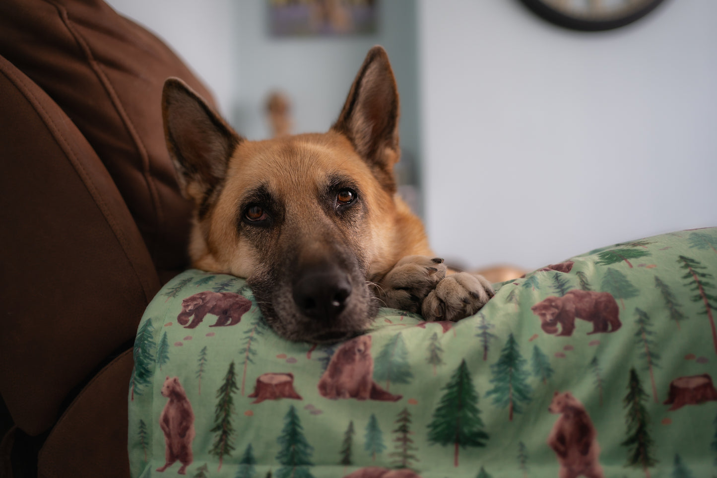 Bear with me Blanket