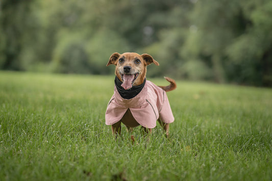 Blush Pink Raincoat