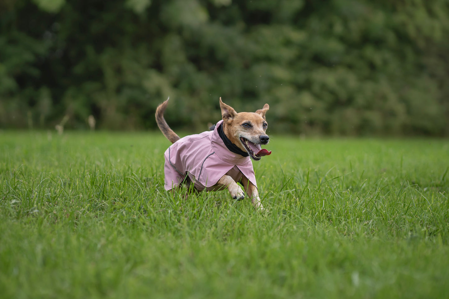 Blush Pink Raincoat