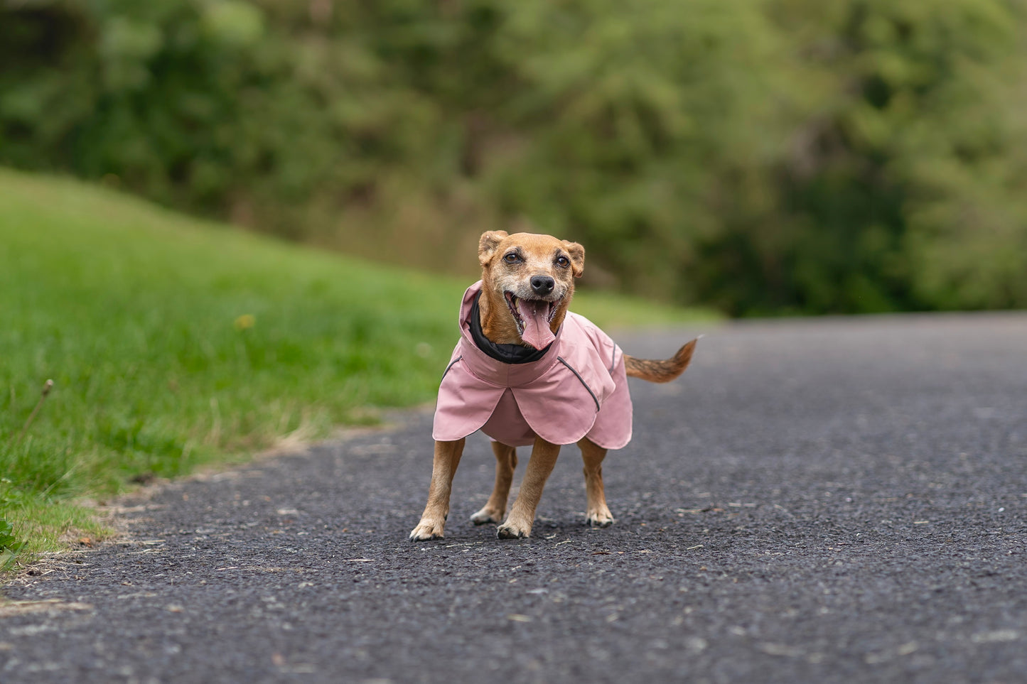 Blush Pink Raincoat