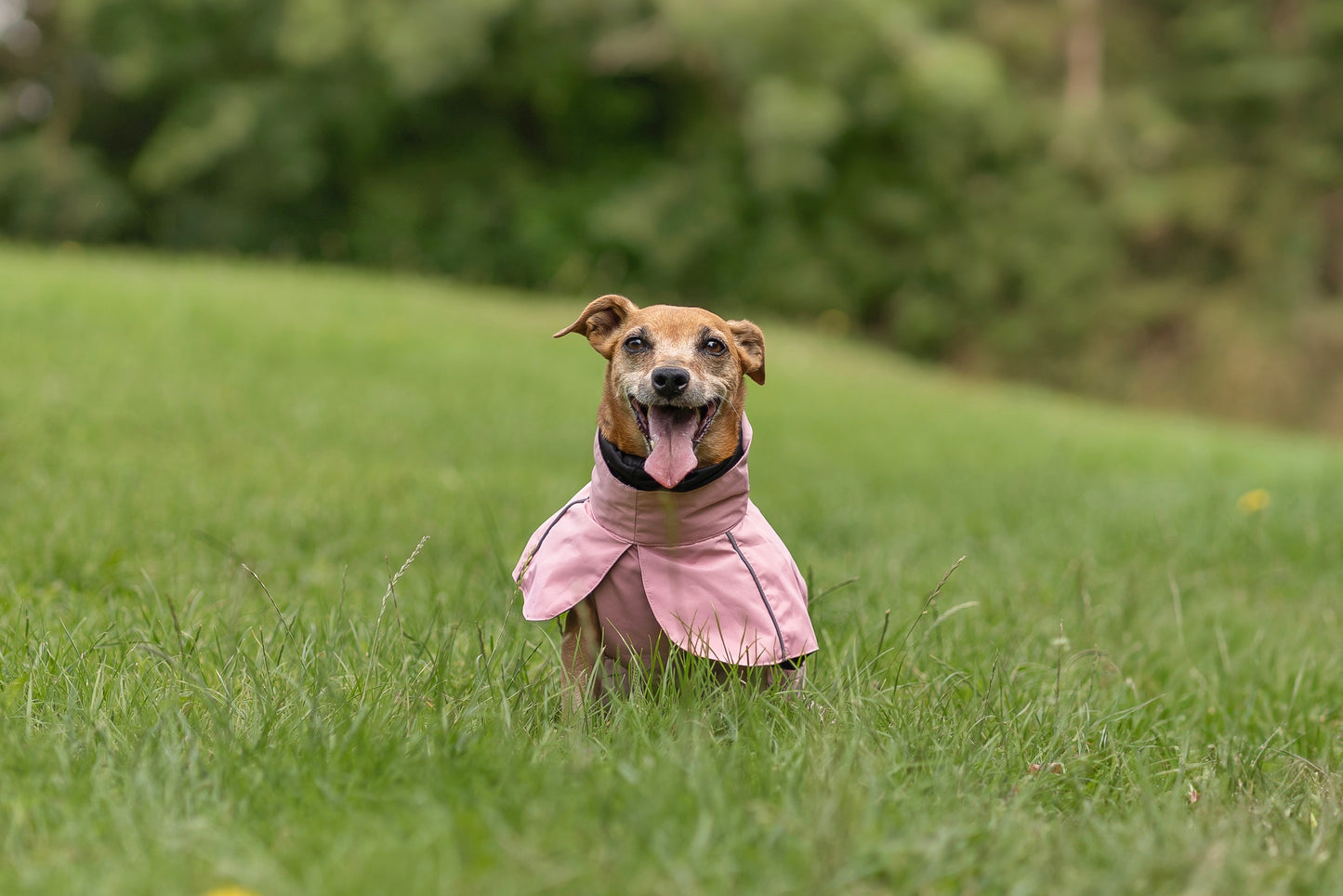 Blush Pink Raincoat