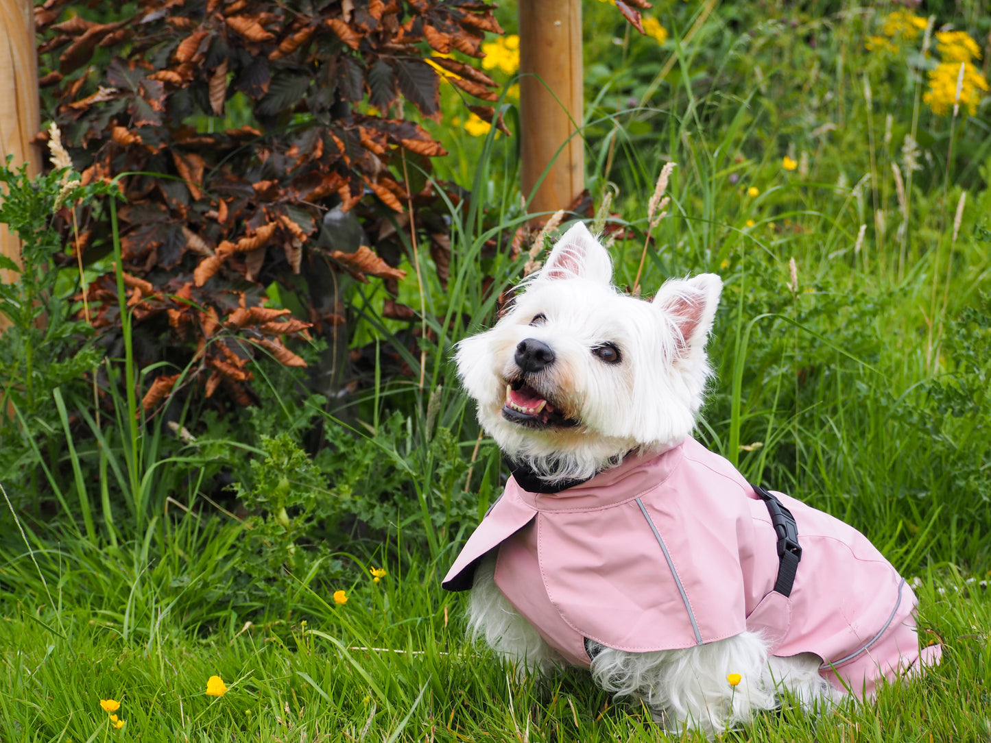 Blush Pink Raincoat