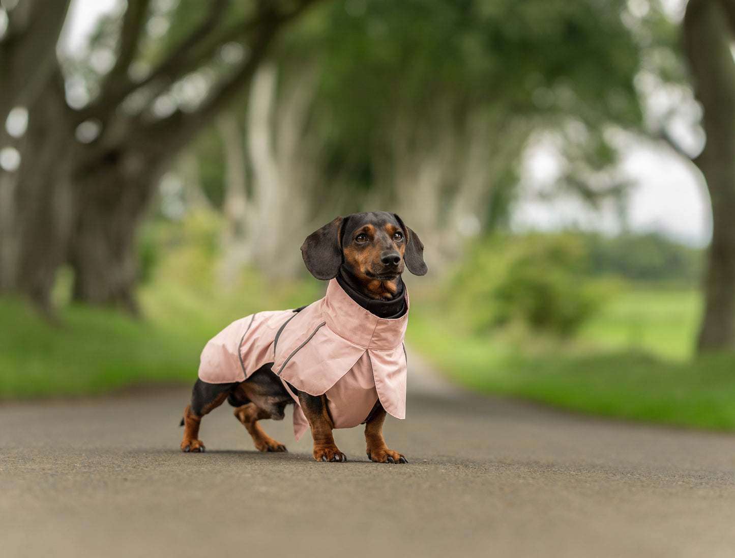 Blush Pink Raincoat